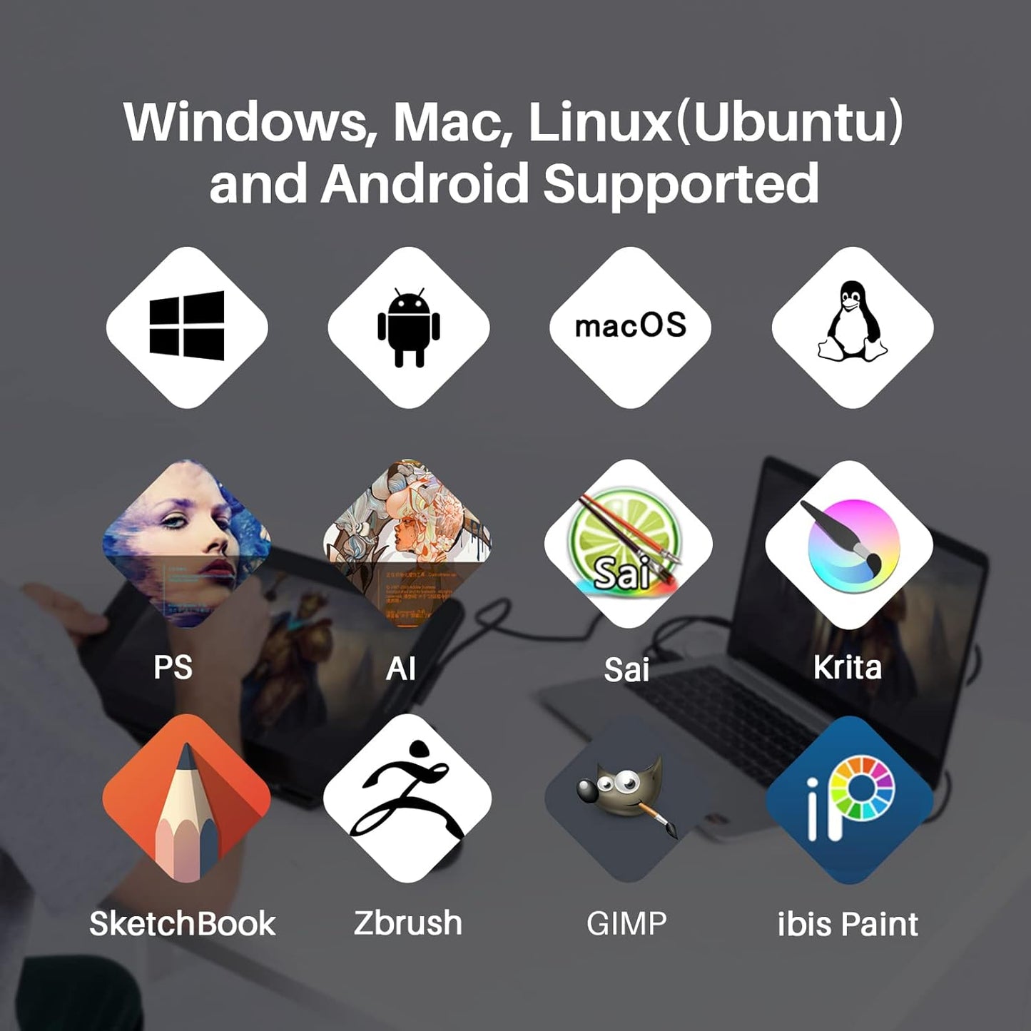 Huion Kamvas 13