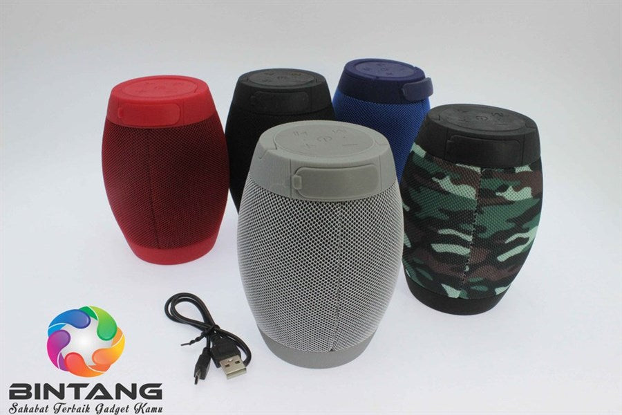 DV-10 Portable Wireless Speaker