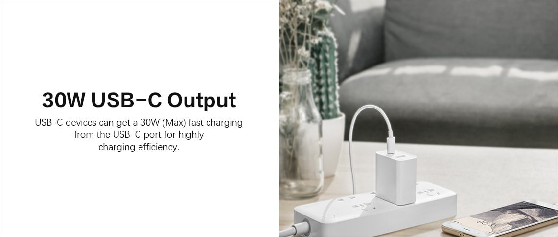 XIAOMI 30W USB Type-C FAST CHARGER (1A1C)